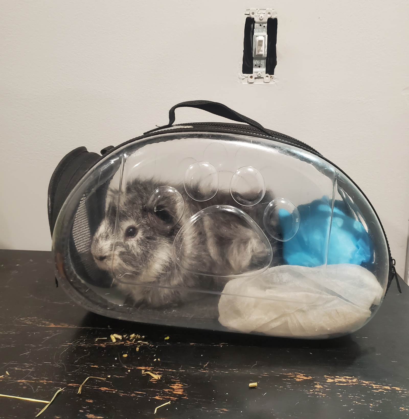 Carrier Bag for Guinea Pig